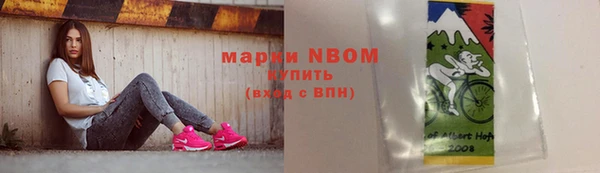 сатива Алзамай