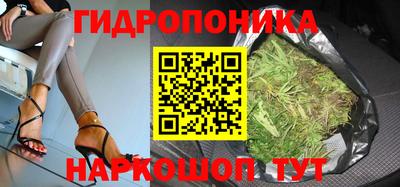 дмт Кандалакша