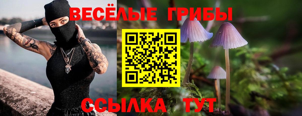 Галлюциногенные грибы Psilocybe  Вход с VPN  Люберцы 